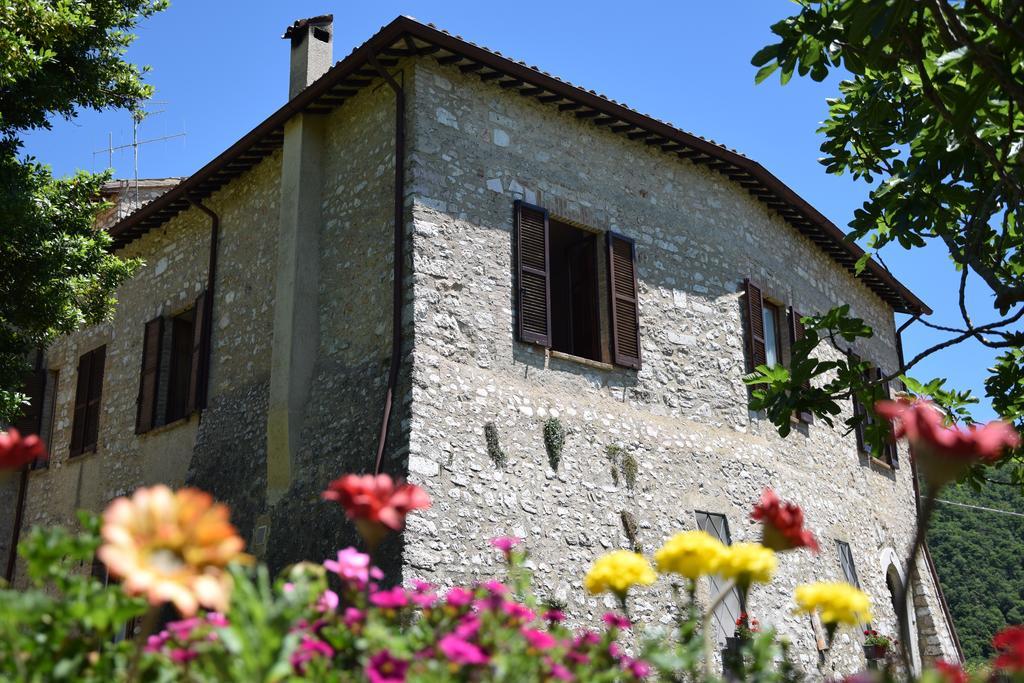 Agriturismo Campagna In Compagnia Vallo di Nera Ngoại thất bức ảnh