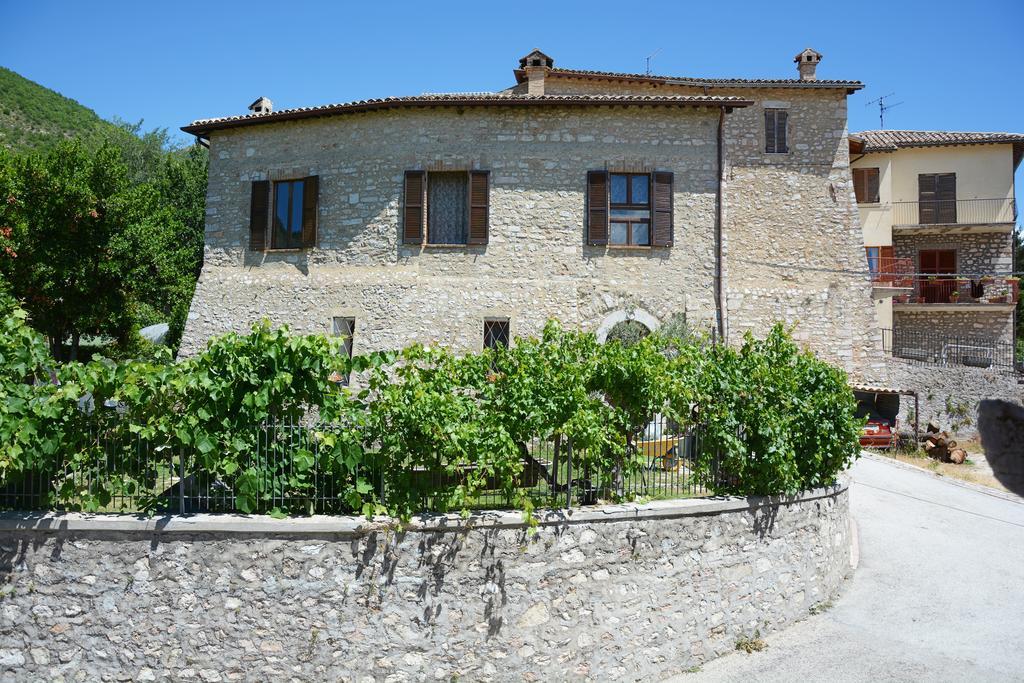 Agriturismo Campagna In Compagnia Vallo di Nera Ngoại thất bức ảnh