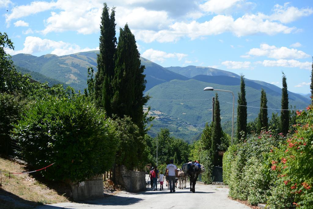 Agriturismo Campagna In Compagnia Vallo di Nera Ngoại thất bức ảnh