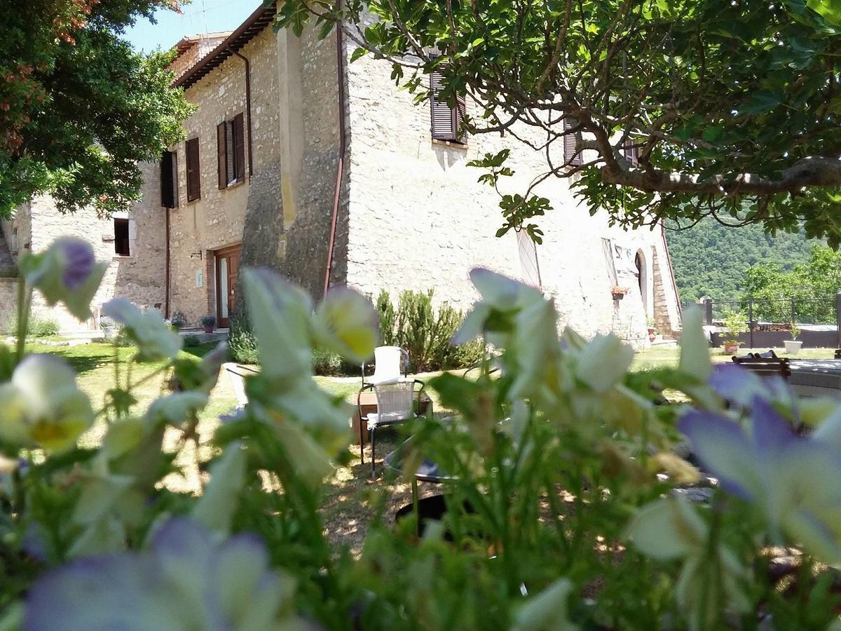 Agriturismo Campagna In Compagnia Vallo di Nera Ngoại thất bức ảnh