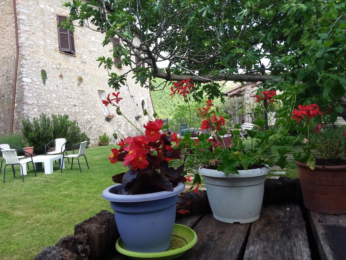 Agriturismo Campagna In Compagnia Vallo di Nera Ngoại thất bức ảnh