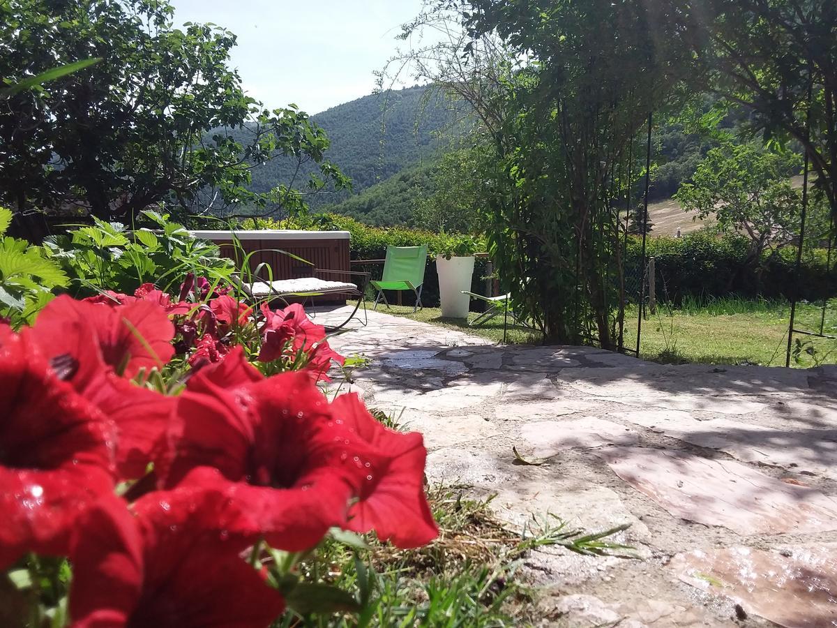 Agriturismo Campagna In Compagnia Vallo di Nera Ngoại thất bức ảnh