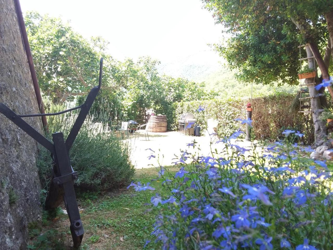 Agriturismo Campagna In Compagnia Vallo di Nera Ngoại thất bức ảnh